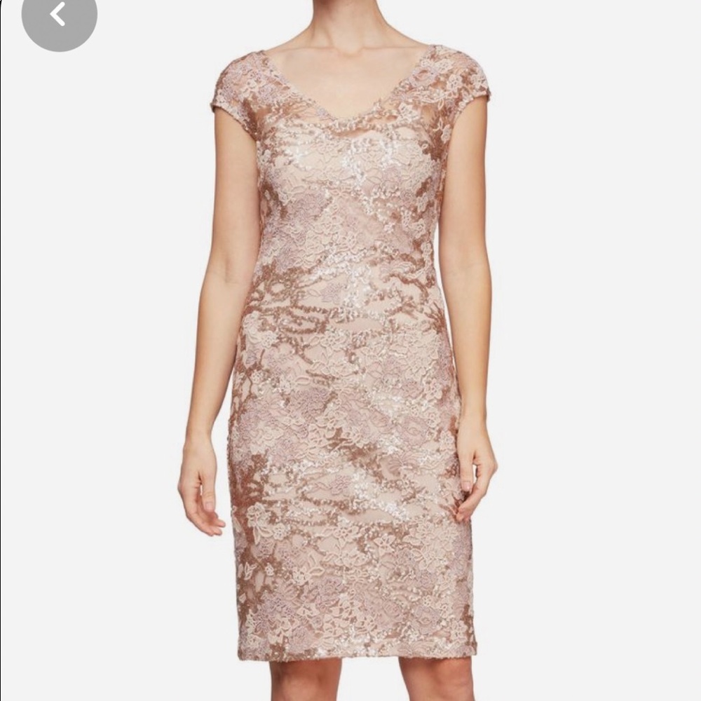Alex Evenings mother of the bride dress.